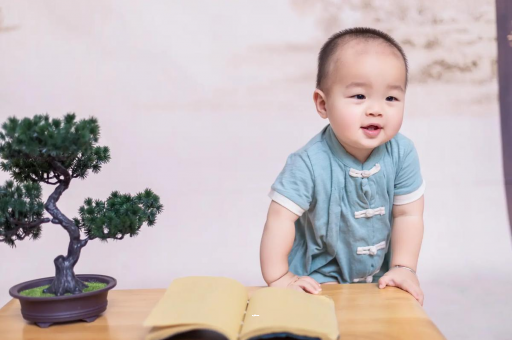 楚雄可爱的企鹅宝宝